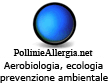 Pollini e allergia